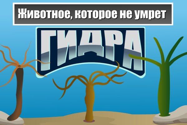 Мега площадка вход